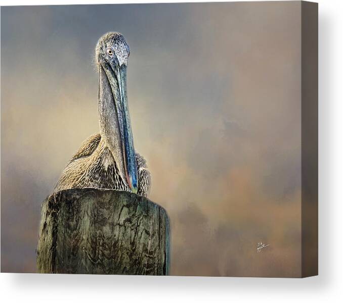 Pelicans Canvas Print featuring the photograph Pelican In Paradise by TK Goforth