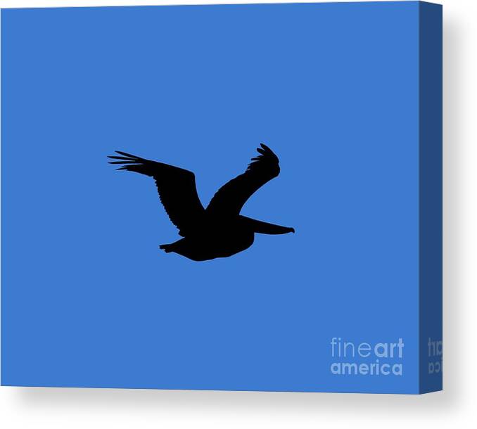 Pelican Canvas Print featuring the photograph Pelican Profile .png by Al Powell Photography USA