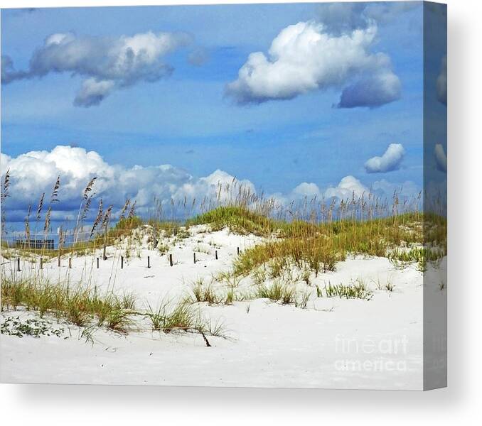 Florida Canvas Print featuring the photograph Perdido Key FL Dunes by Lizi Beard-Ward