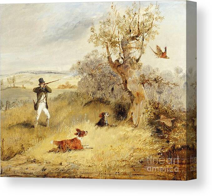 Pheasant Canvas Print featuring the painting Pheasant Shooting by Henry Thomas Alken