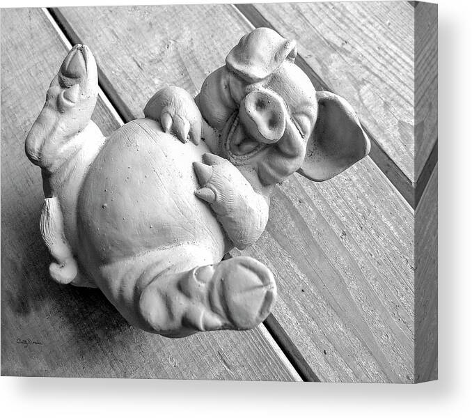 Happy Canvas Print featuring the photograph Pig Having a Belly Laugh Because I'm Happy by Betty Denise