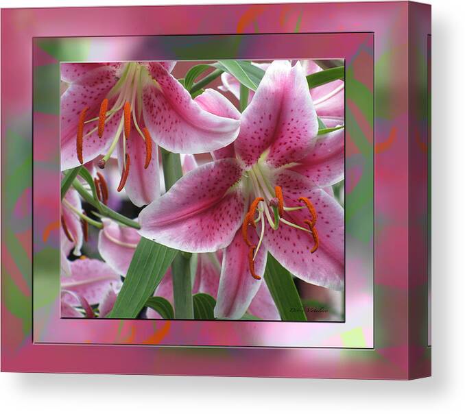 Pink Lily Design Canvas Print featuring the photograph Pink Lily Design by Debra   Vatalaro