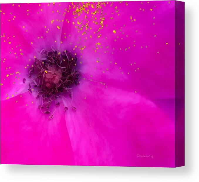 Pink Canvas Print featuring the photograph Pink Rose Gold Glitter by Diane Lindon Coy