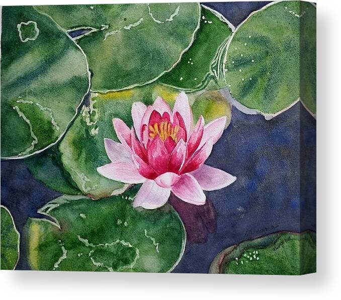 Flowers. Pink Canvas Print featuring the painting Pink Waterlily by Deane Locke