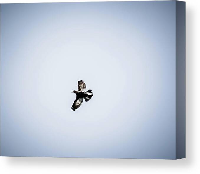 Policebird Canvas Print featuring the digital art Policebird by Ed Stines