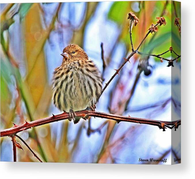 Bird Canvas Print featuring the photograph Pompous Royalty by Steve Warnstaff