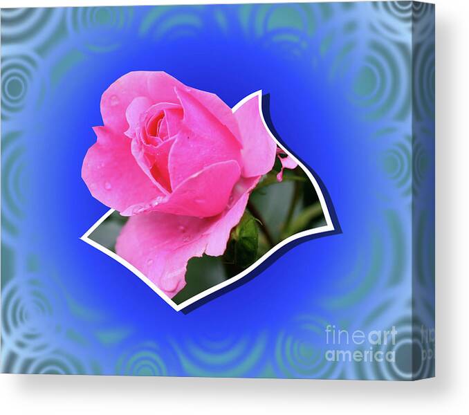 Flower Canvas Print featuring the photograph Pop Out Rosebud by Smilin Eyes Treasures