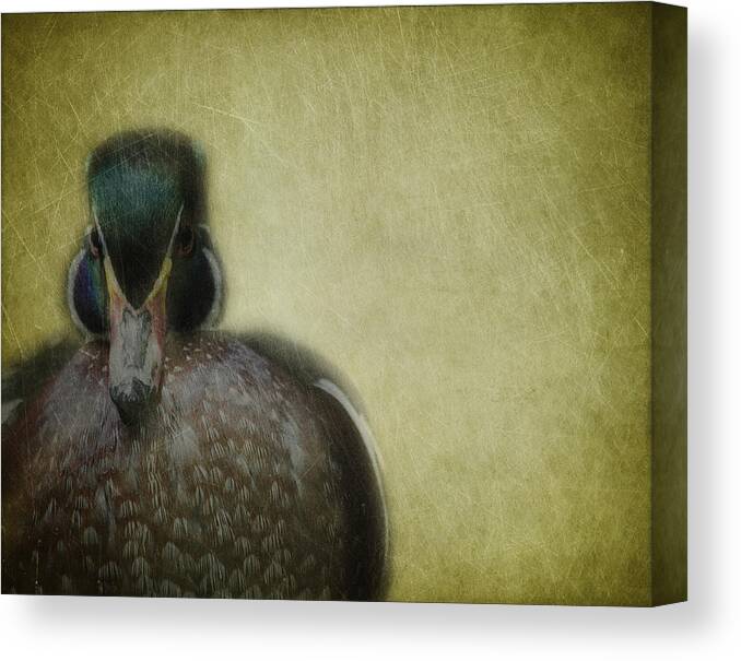 Duck Canvas Print featuring the photograph Portrait of a Duck by Rebecca Cozart