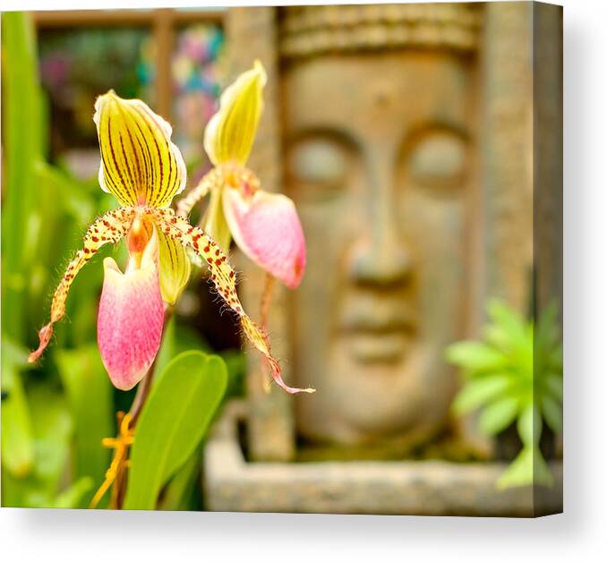 Buddhist Temple Canvas Print featuring the photograph Pretty flower by Raul Rodriguez