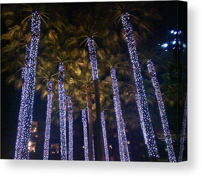 Lights Canvas Print featuring the photograph Pretty Palm by Frankie Graham