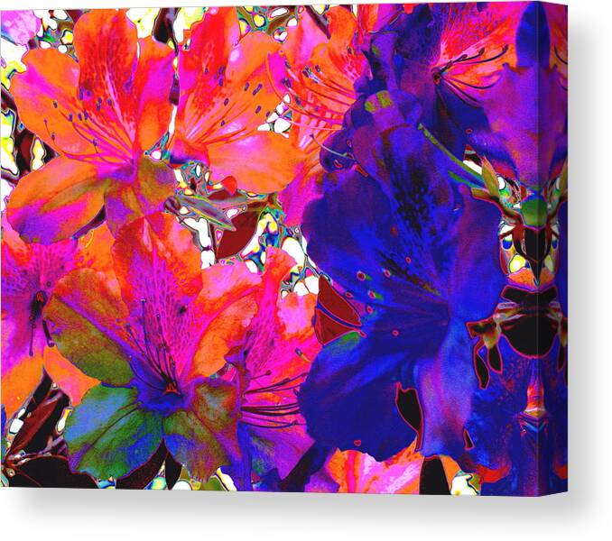 Flower Canvas Print featuring the photograph Pretty Printemps by Larry Beat