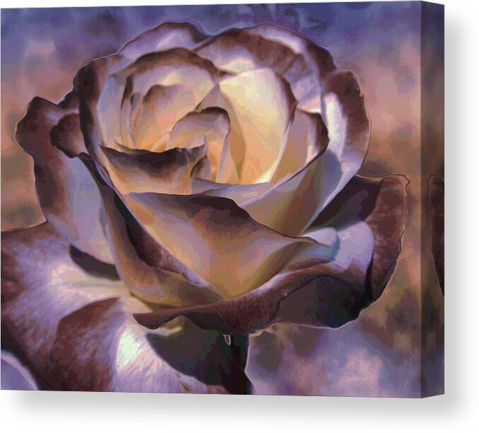 Rose Canvas Print featuring the photograph Purple Rose by Athala Bruckner