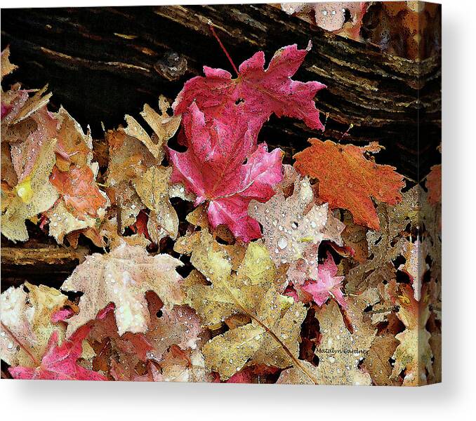 Leaves Canvas Print featuring the photograph Rainy Day Leaves by Matalyn Gardner