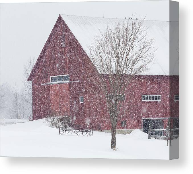 Winter Canvas Print featuring the photograph Red Barn Nor'easter by Alan L Graham