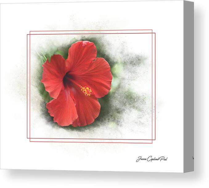 Red Hibiscus Canvas Print featuring the photograph Red Hibiscus by Joann Copeland-Paul