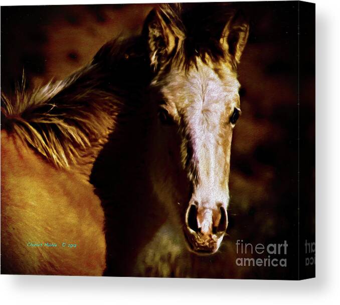 Digital Canvas Print featuring the painting Red Willow pony LX by Charles Muhle