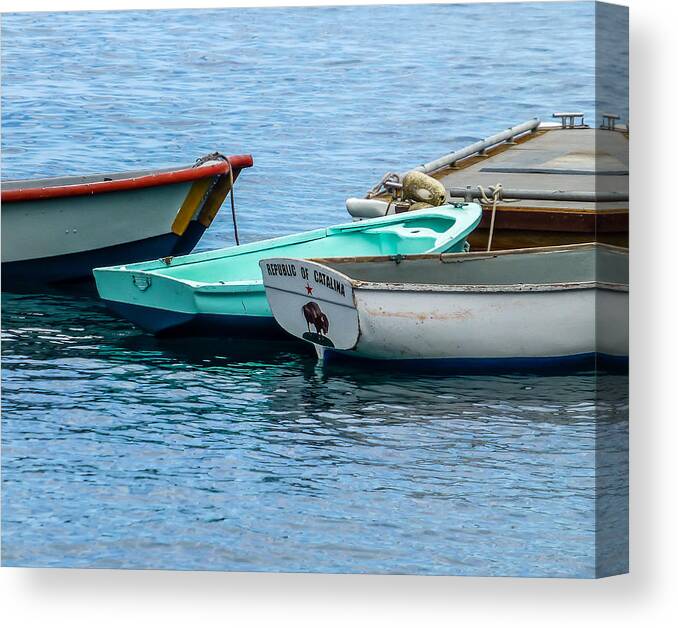 Catalina Canvas Print featuring the photograph Republic of Catalina by Pamela Newcomb