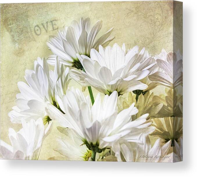 Daisy Canvas Print featuring the photograph Romance and White Daisies by Melissa Bittinger