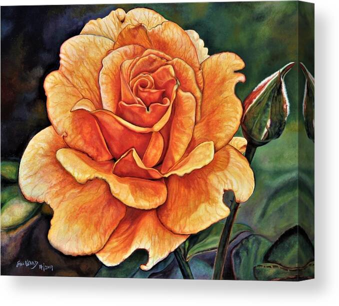 Floral Canvas Print featuring the painting Rose 4_2017 by Steven Ward