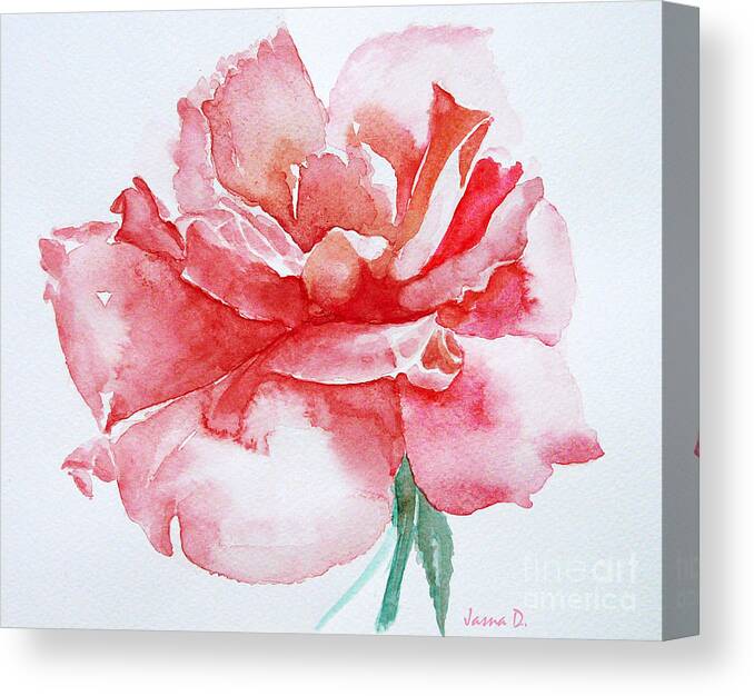 Flower Canvas Print featuring the painting Rose pink by Jasna Dragun