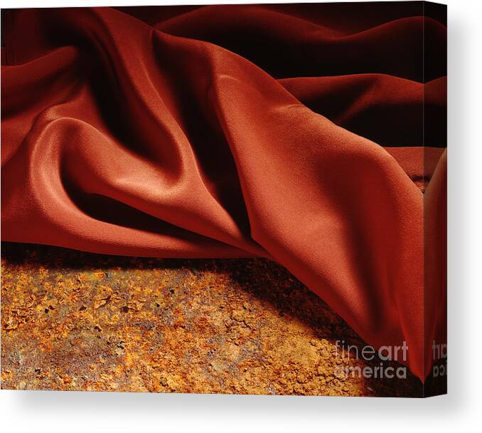 Abstract Canvas Print featuring the photograph Rusty Silk by Stefania Levi
