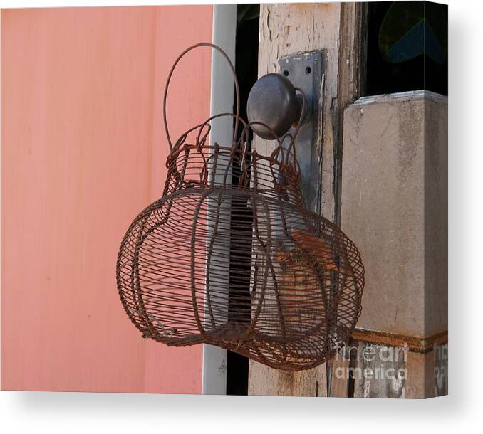 Basket Canvas Print featuring the photograph Rusty Wire Basket by Patricia Strand