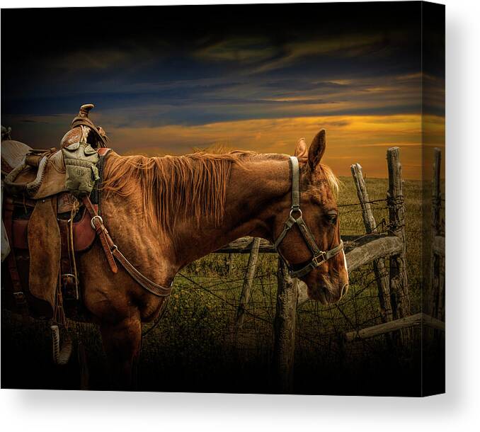 Saddle Canvas Print featuring the photograph Saddle Horse on the Prairie by Randall Nyhof