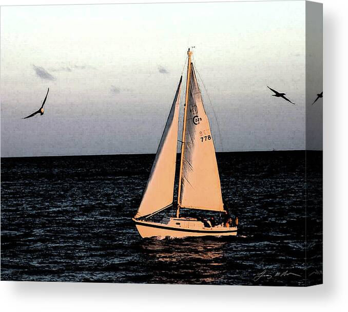 Diamond Head Canvas Print featuring the digital art Sailing off of Diamond Head by Tommy Anderson