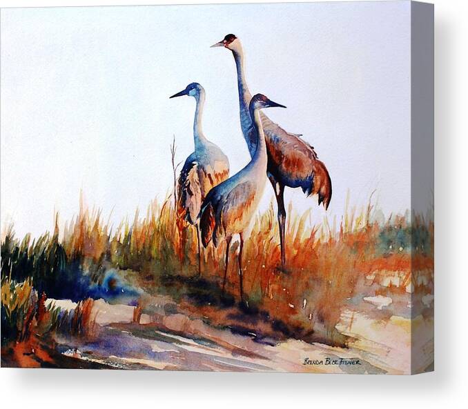 Sandhill Cranes Canvas Print featuring the painting Sandhill Cranes by Brenda Beck Fisher