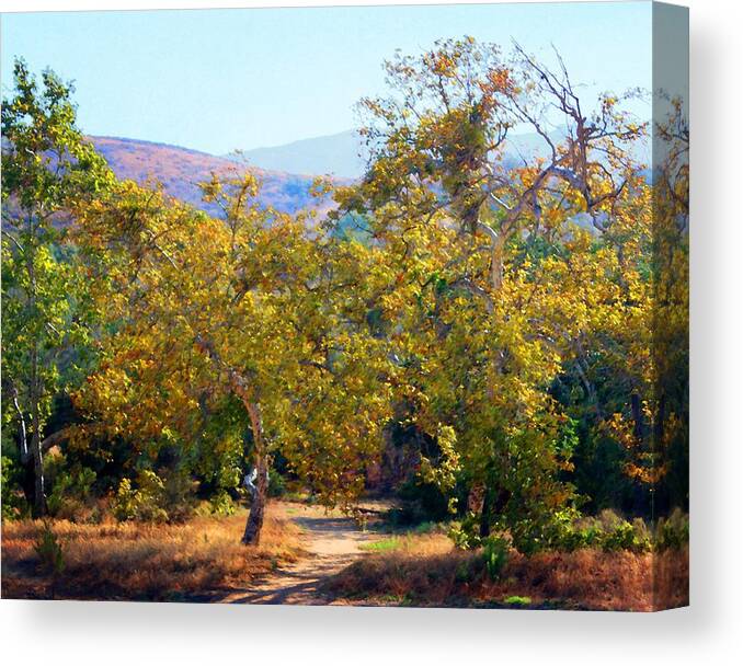 Trail Canvas Print featuring the photograph Santiago Creek Trail by Timothy Bulone