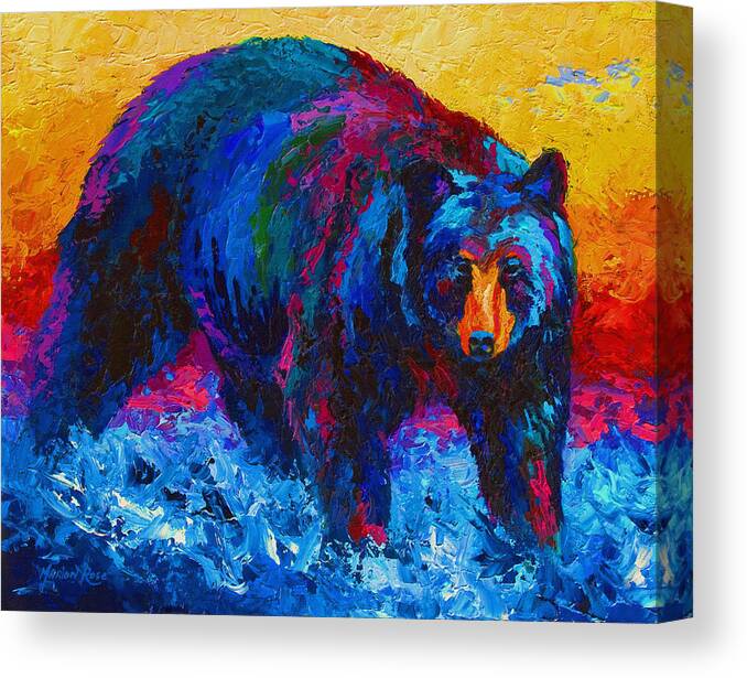 Western Canvas Print featuring the painting Scouting For Fish - Black Bear by Marion Rose