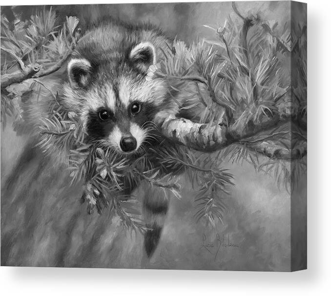 Raccoon Canvas Print featuring the painting Seeking Mischief - Black and White by Lucie Bilodeau