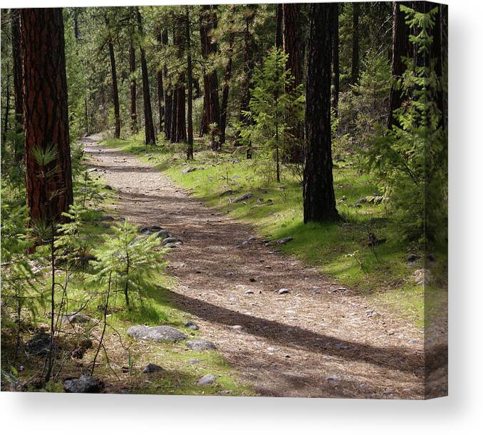Nature Canvas Print featuring the photograph Shadows on the Path by Ben Upham III