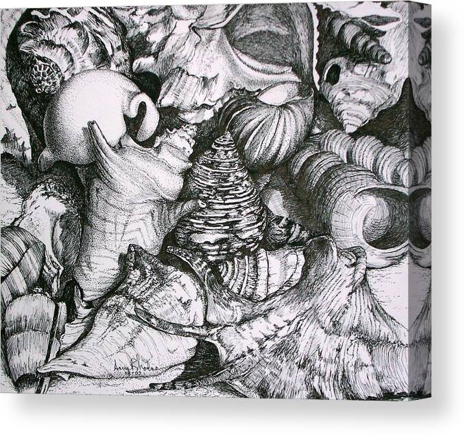 Black And White Canvas Print featuring the painting Shells by Anne Rhodes