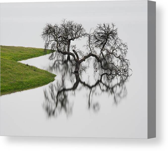 Landscape Canvas Print featuring the photograph Silver by Hugo Borges