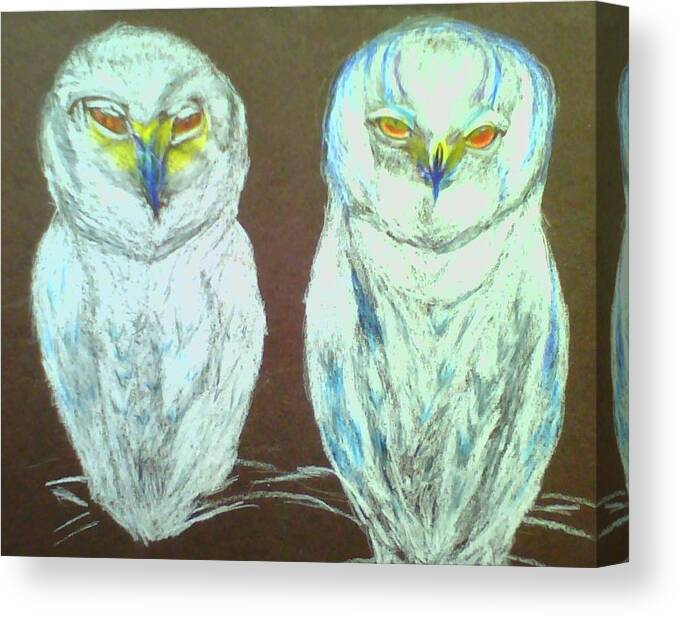Snow Owls Canvas Print featuring the drawing Snow Birds by Suzanne Berthier