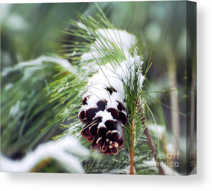 Pine Cone Canvas Print featuring the photograph Snowy Pine Cone by Kerri Farley