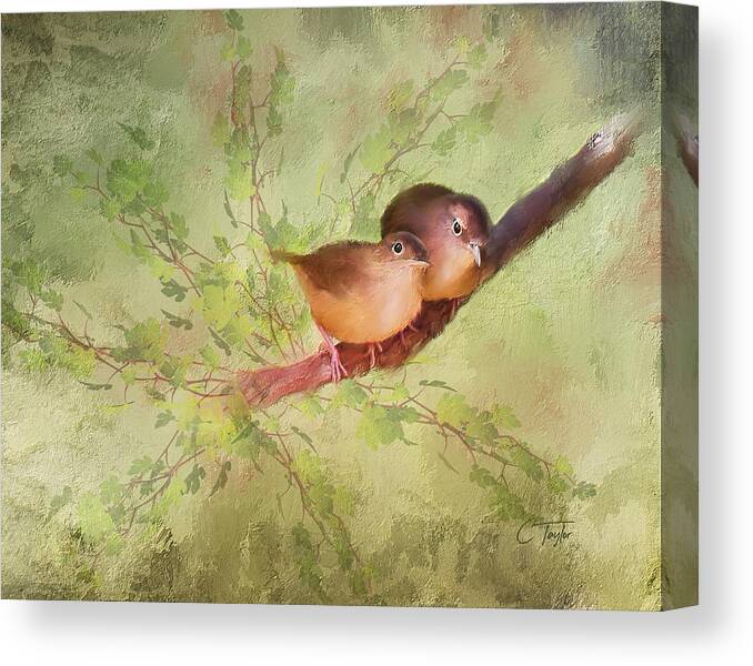 Birds Canvas Print featuring the painting Snuggled by Colleen Taylor