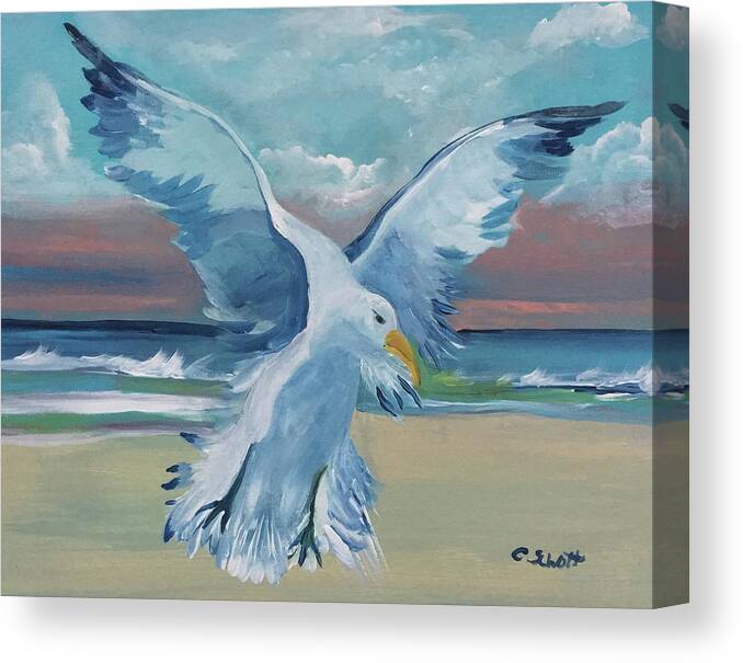 Seagull Canvas Print featuring the painting Soar by Christina Schott