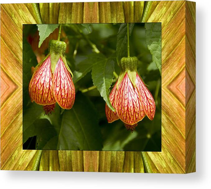Nature Photos Canvas Print featuring the photograph Solar Lantern by Bell And Todd