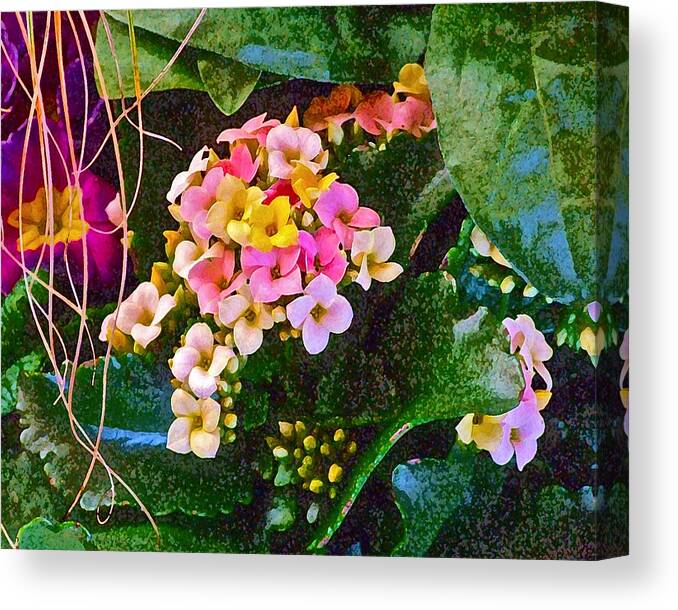 Spring Canvas Print featuring the photograph Spring Show 12 by Janis Senungetuk
