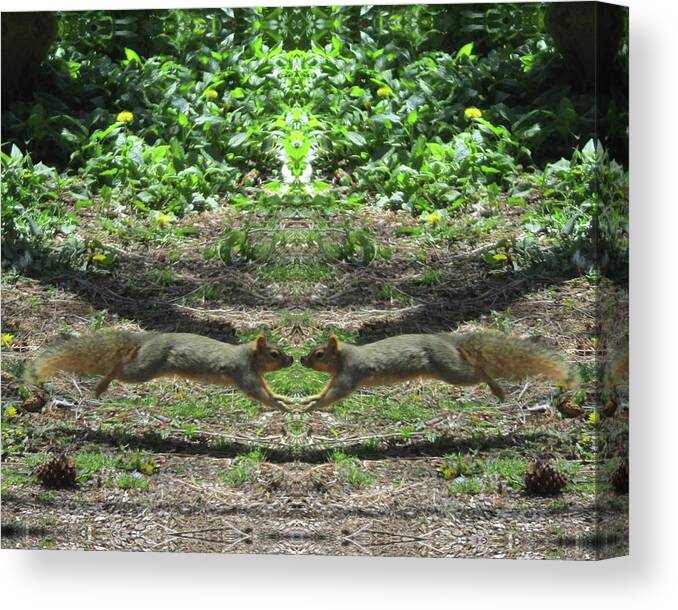 Squirrels Canvas Print featuring the digital art Squirrels Coming Together for a Kiss by Julia L Wright