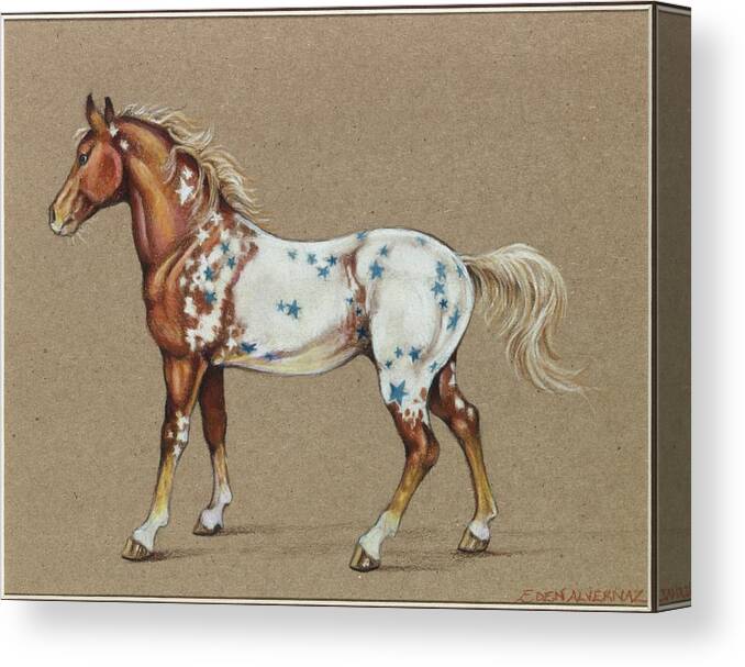 Horse Canvas Print featuring the drawing Star Spangled Horse by Eden Alvernaz