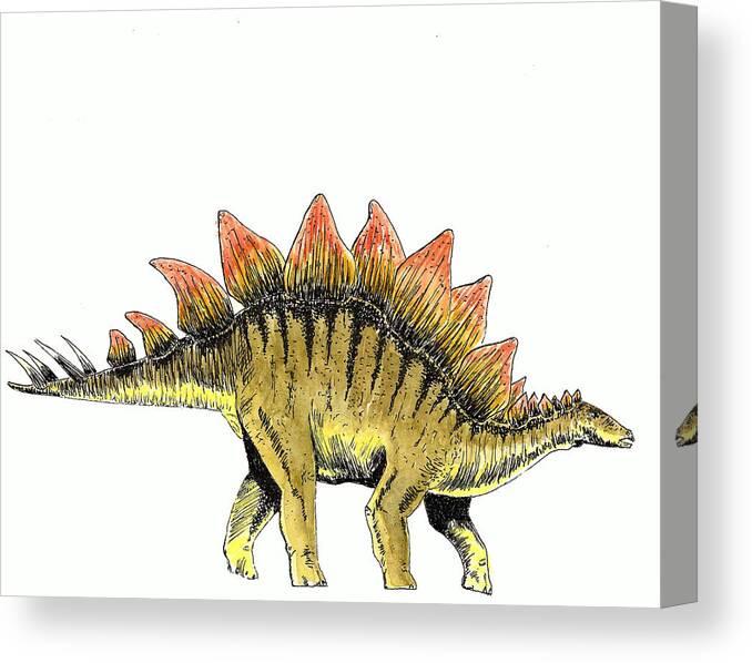 Dinosaur Canvas Print featuring the painting Stegosaurus by Michael Vigliotti