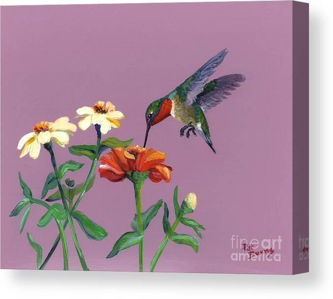 Bird Canvas Print featuring the painting Summer by Pat Burns