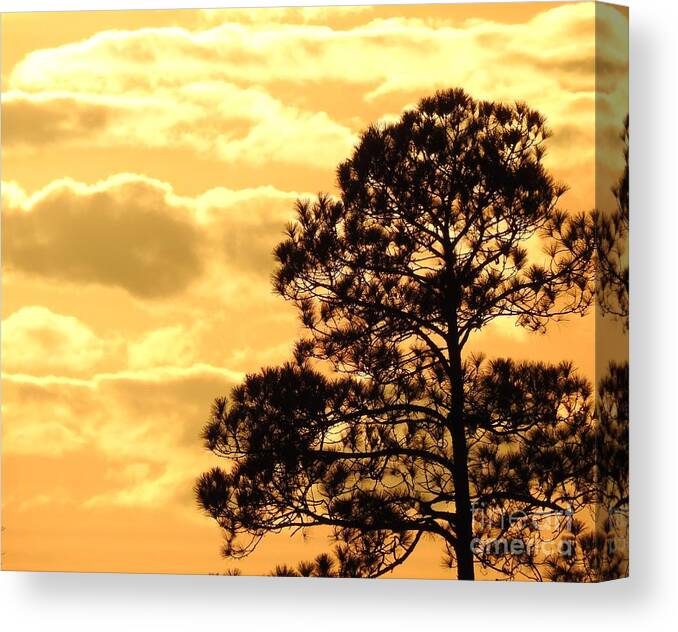 Sun Canvas Print featuring the digital art Sunglow Pine by Jan Gelders