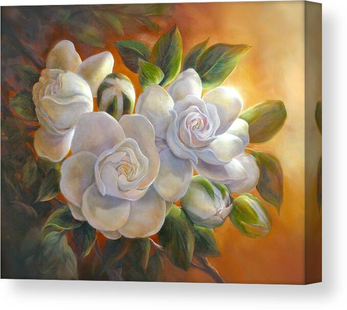 White Gardenia Canvas Print featuring the painting Sunkissed Gardenia by Lynne Pittard
