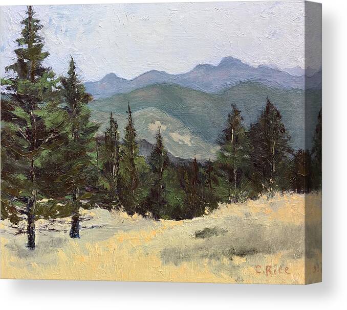 Landscape Canvas Print featuring the painting Sunshine Canyon by Chris Rice