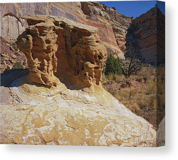 San Rafael Swell Canvas Print featuring the photograph Table Rock by Tom Daniel
