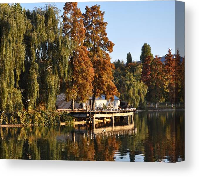 Autumn On The Lake Canvas Print featuring the photograph Taking a nap by Georgeta Blanaru